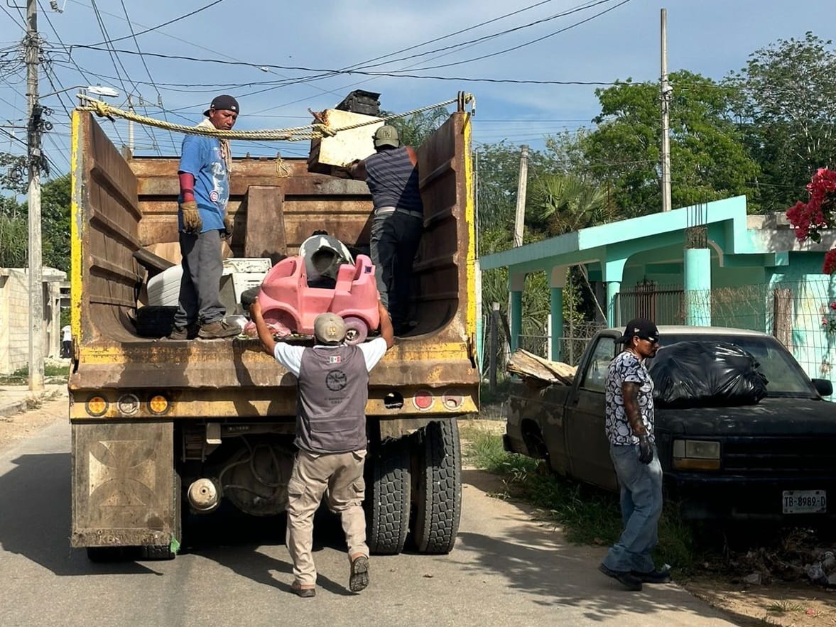 Eliminar criaderos de moscos corta la cadena de transmisión del dengue