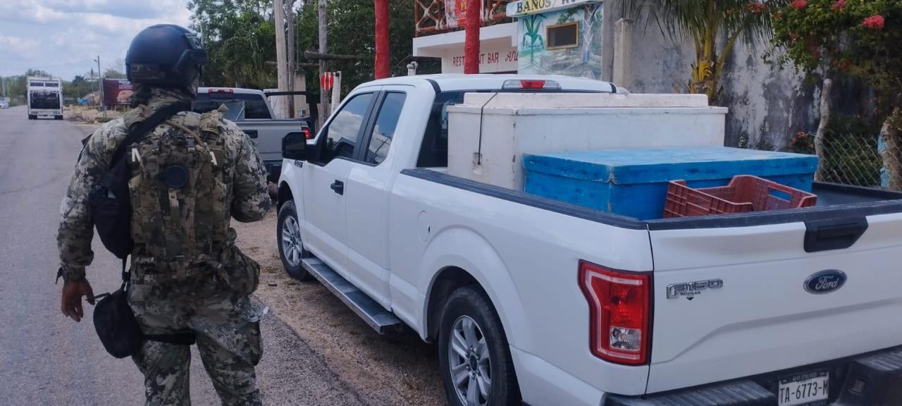 Decomisan más de 150 kilogramos de pescado proveniente de Holbox