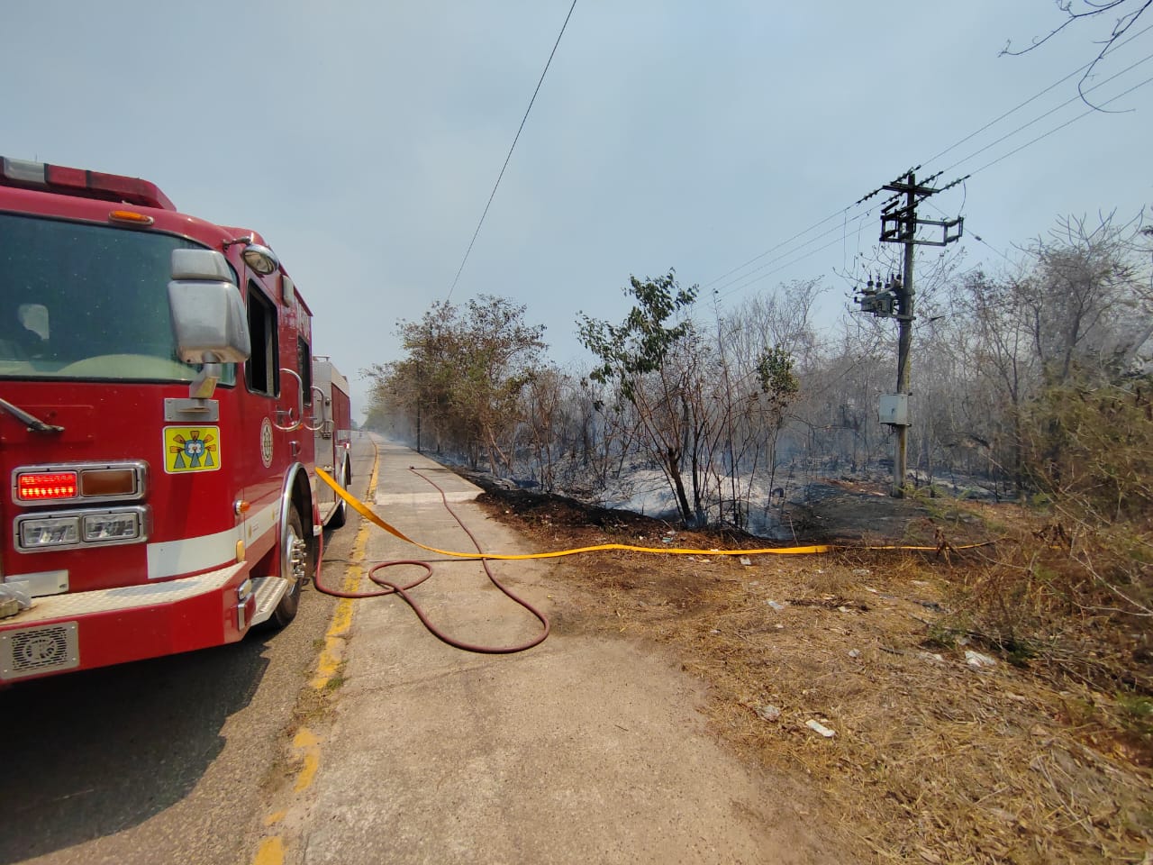 Causa incendio forestal apagón en José María Morelos; llamas llegan a reserva de la Uimqroo