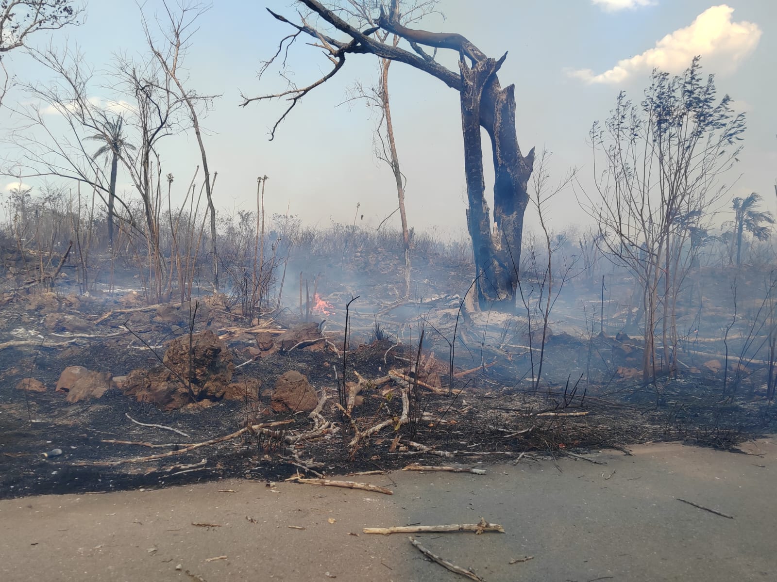 Se mantienen activos 11 incendios forestales en Quintana Roo; son ya más de 7 mil hectáreas afectadas