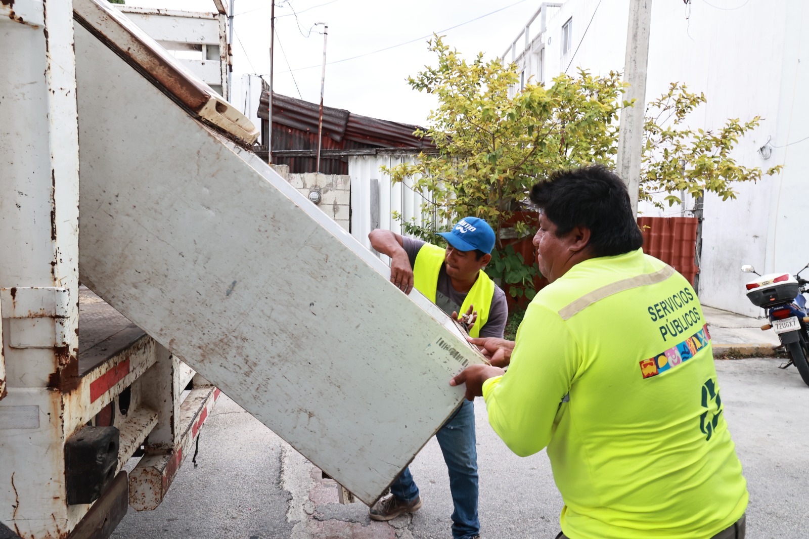 HOY HABRÁ JORNADA DE DESCACHARRIZACIÓN EN ISLA MUJERES