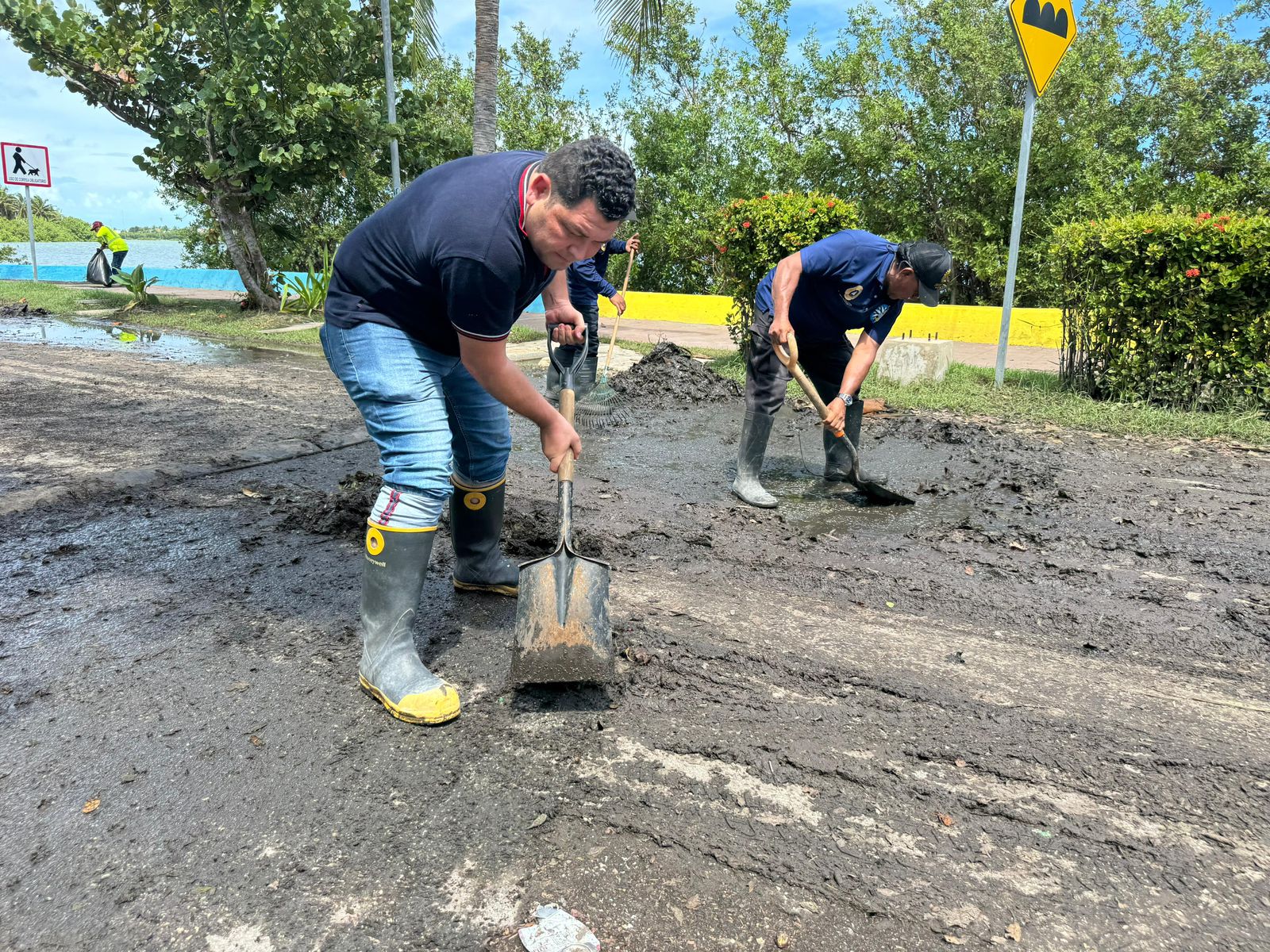 Fortalecen en Isla Mujeres trabajos de limpieza en la Salina Grande