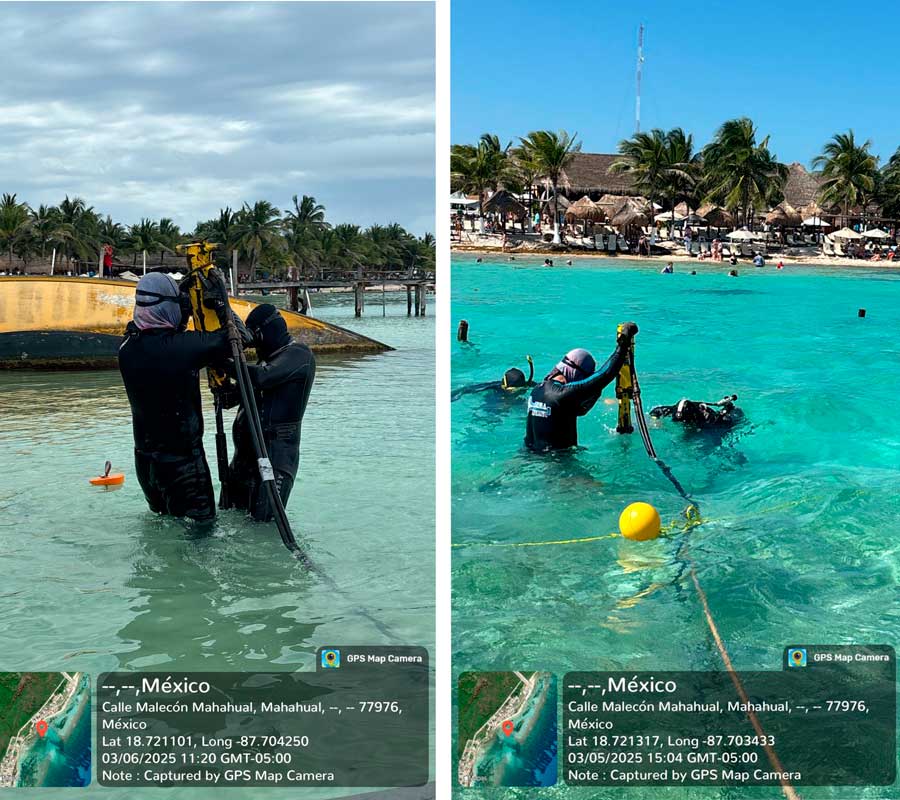 Marina realiza acciones en su fase de preparación, ante la temporada de Sargazo en las costas de Quintana Roo